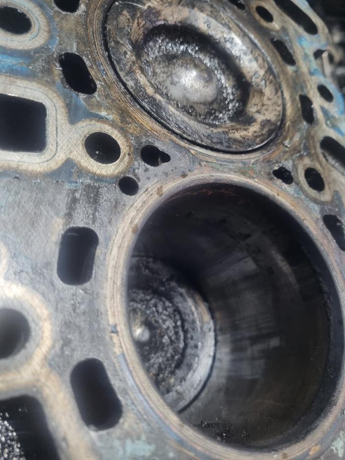 235149625_L0xSRcMk_47adc9043a1496be235abca31c0f593742be3156.jpg 이미지크게보기