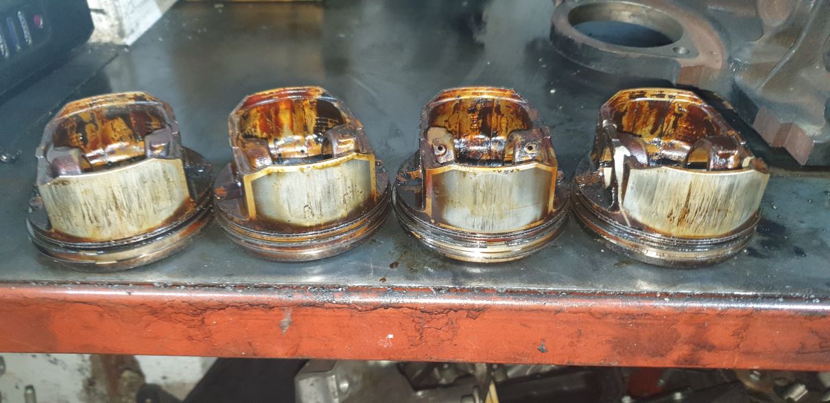 /user/j/jyengine/editor/2308/8654d8dd321ea0b74c681bf7486e920a_1691104840_1384.jpg 이미지크게보기