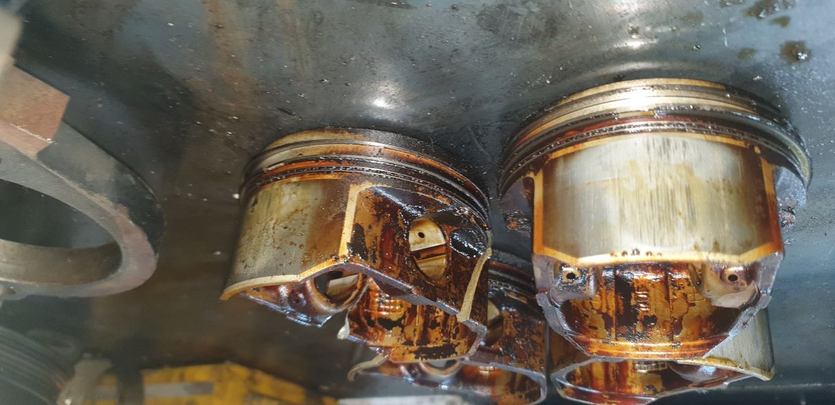 /user/j/jyengine/editor/2308/8654d8dd321ea0b74c681bf7486e920a_1691104843_2891.jpg 이미지크게보기